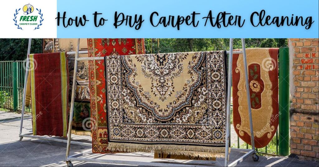 how to dry carpet cleaning houston